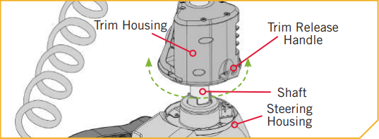 Prop_Orientation_4f.png