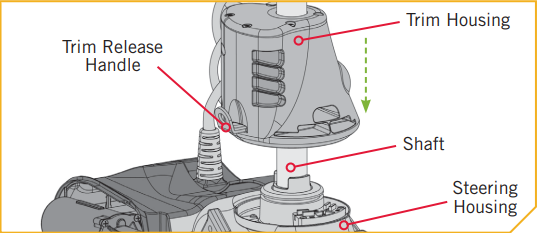 Prop_Orientation_6h.png