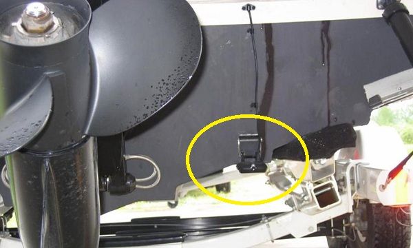 searay-1_0.jpg