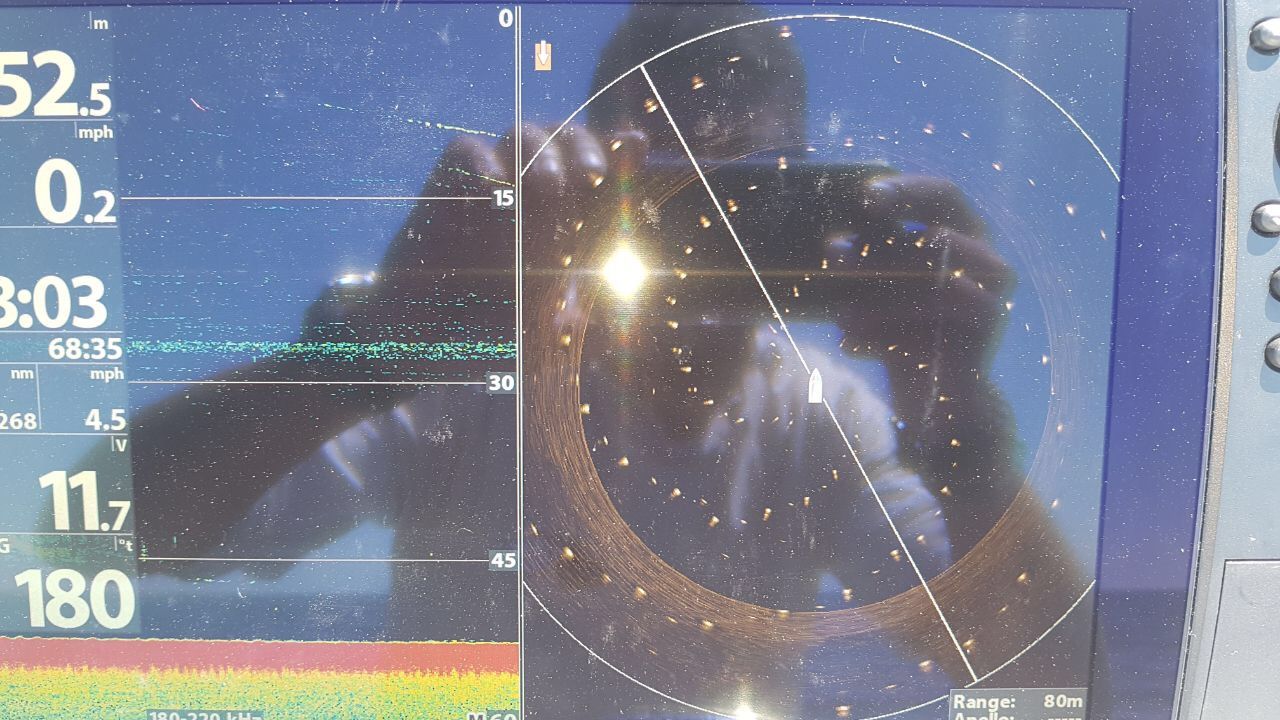 360sonarinterference_0.jpg